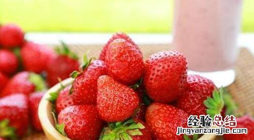 草莓适合什么季节种植
