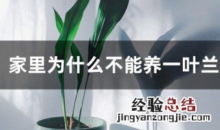 一叶兰怎样繁殖最快 家里为什么不能养一叶兰