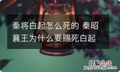 秦将白起怎么死的 秦昭襄王为什么要赐死白起