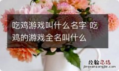 吃鸡游戏叫什么名字 吃鸡的游戏全名叫什么