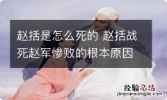 赵括是怎么死的 赵括战死赵军惨败的根本原因是什么