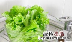 生菜种子没泡水种下能发芽吗视频 生菜种子没泡水种下能发芽吗