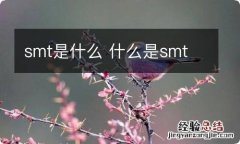 smt是什么 什么是smt