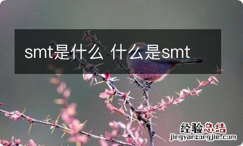 smt是什么 什么是smt