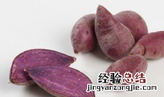 冬天怎么种红薯苗 冬天怎么种红薯苗呢