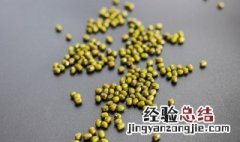 纸上种菜绿豆要泡多少分钟 种绿豆为什么要泡一下