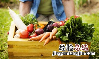 新鲜青菜的保存方法 青菜储存保鲜方法