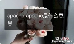 apache apache是什么意思