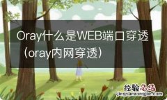 oray内网穿透 Oray什么是WEB端口穿透