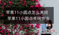 苹果11小圆点怎么关闭 苹果11小圆点关闭方法