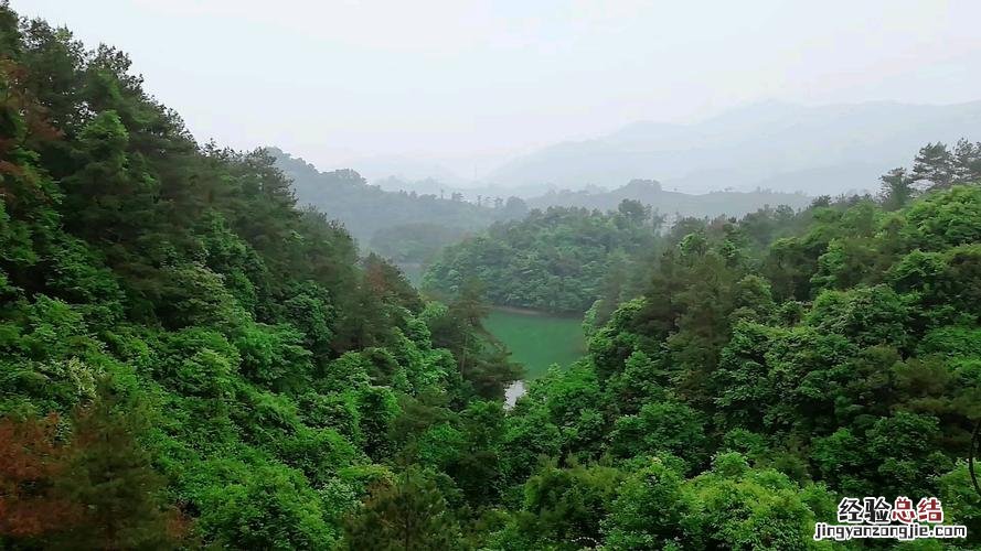 武义旅游景点都有哪些