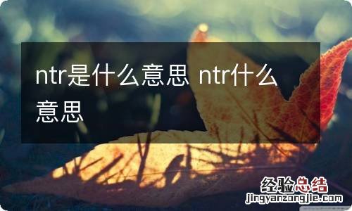 ntr是什么意思 ntr什么意思