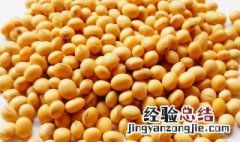 黄豆怎么做花肥肥料视频 黄豆怎么做花肥肥料