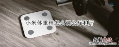 小米体重秤怎么调公斤和斤