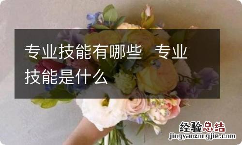 专业技能有哪些专业技能是什么
