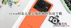 vivox80怎么禁止别的软件自动下载 vivo怎么取消自动下载软件