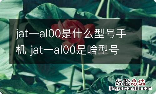 jat一al00是什么型号手机 jat一al00是啥型号手机