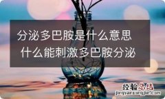 分泌多巴胺是什么意思 什么能刺激多巴胺分泌