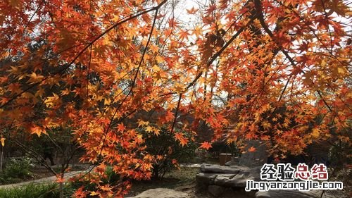 栖霞有哪些旅游景点