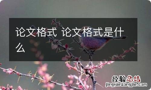 论文格式 论文格式是什么