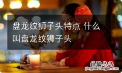 盘龙纹狮子头特点 什么叫盘龙纹狮子头