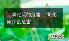 二氧化碳的危害 二氧化碳什么危害