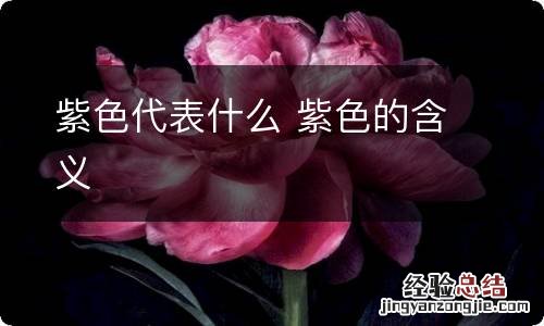 紫色代表什么 紫色的含义