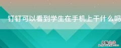 钉钉可以看到学生在手机上干什么吗