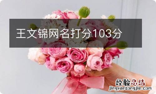 王文锦网名打分103分