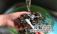 大闸蟹怎么刷 大闸蟹怎么刷比较干净