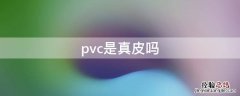 pvc是真皮吗