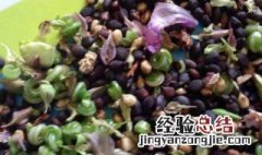 花籽怎么保存明年种 花籽放了几年了,能种出来吗