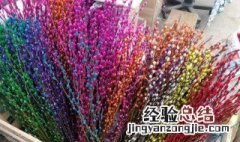 银柳干花怎么养 银柳干花怎么养才能开花