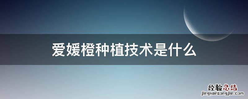 爱媛橙种植技术是什么