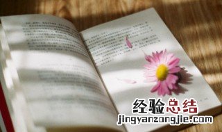 每日感恩一句话 感恩的优美句子集锦