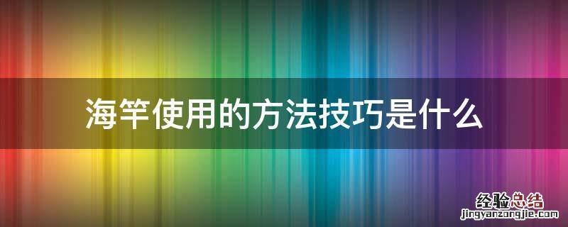 海竿使用的方法技巧是什么