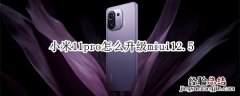 小米11pro怎么升级miui12.5