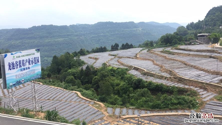 通江有哪些旅游景点