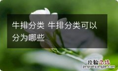 牛排分类 牛排分类可以分为哪些