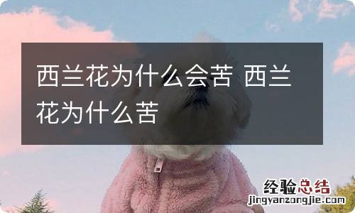 西兰花为什么会苦 西兰花为什么苦