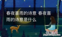 春夜喜雨的诗意 春夜喜雨的诗意是什么