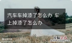 汽车车掉漆了怎么办 车上掉漆了怎么办