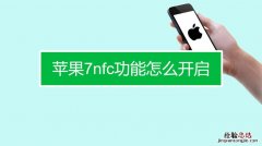 苹果7有nfc功能在哪里