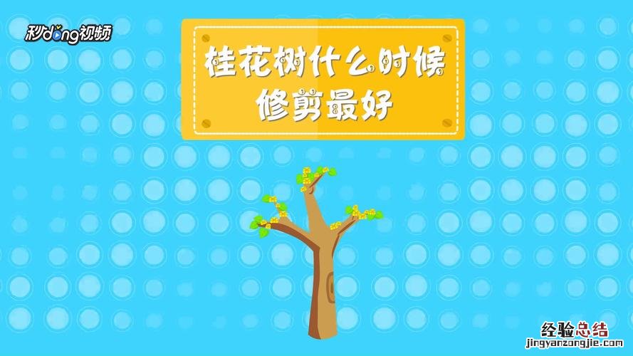 桂花怎样追肥