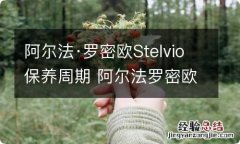 阿尔法·罗密欧Stelvio保养周期 阿尔法罗密欧保养时间