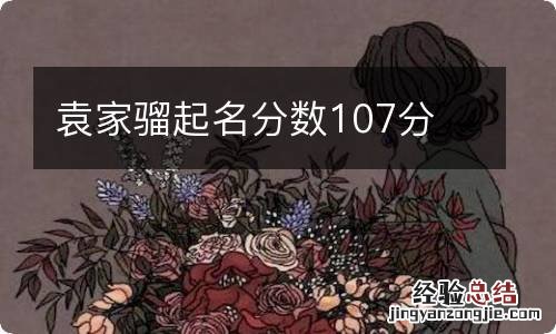 袁家骝起名分数107分