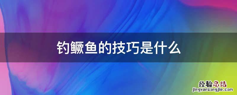 钓鳜鱼的技巧是什么