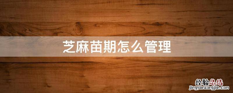 芝麻苗期怎么管理