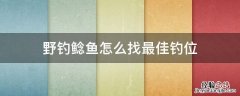 野钓鲶鱼怎么找最佳钓位