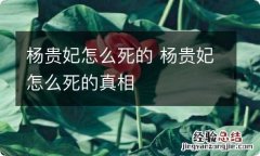 杨贵妃怎么死的 杨贵妃怎么死的真相